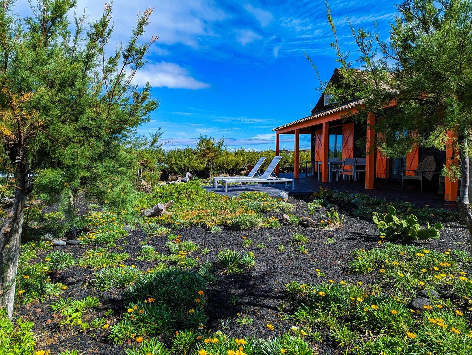 Casa Baleia Laranja Ocean-Front Villa Madalena  Dış mekan fotoğraf