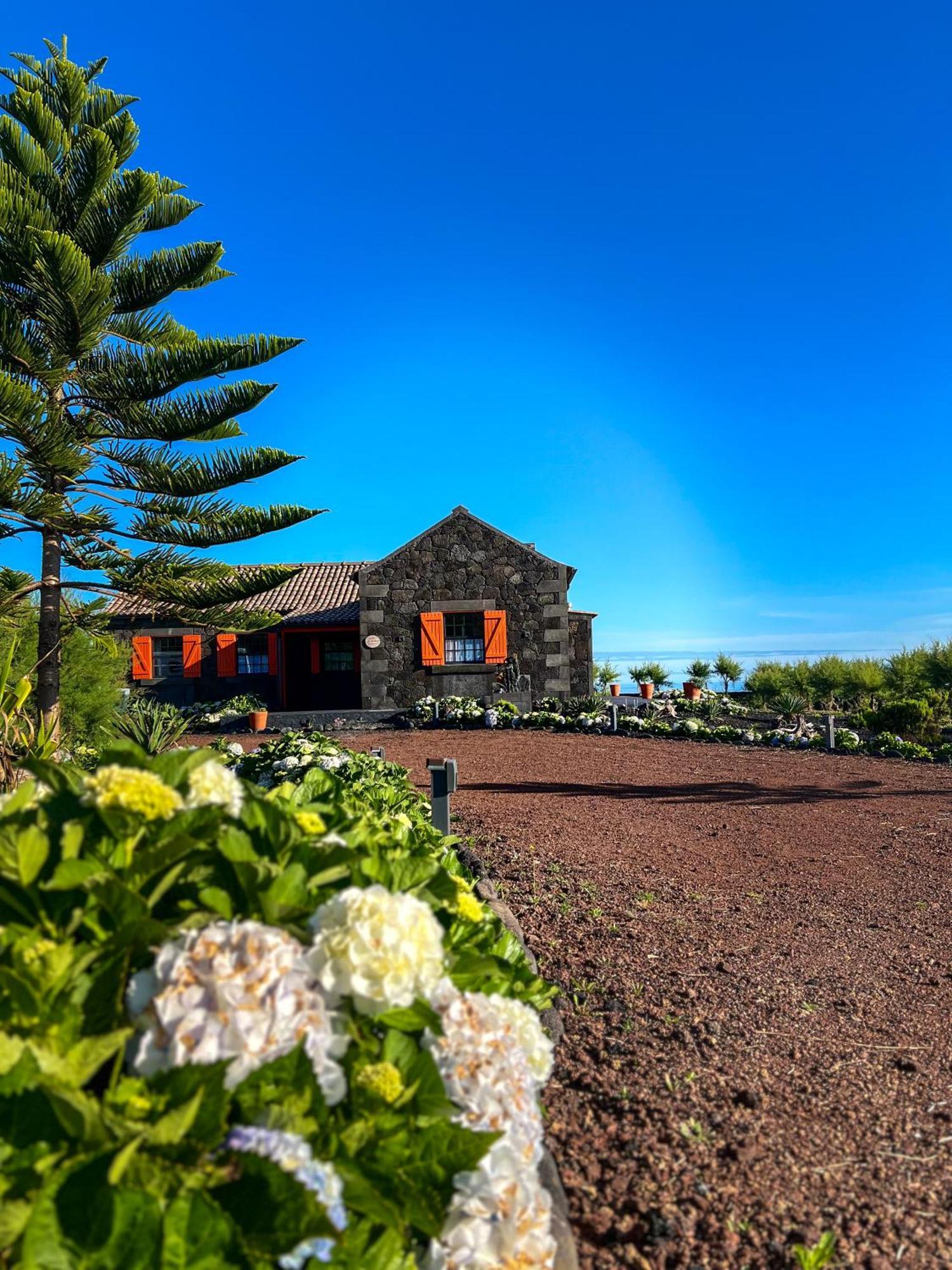 Casa Baleia Laranja Ocean-Front Villa Madalena  Dış mekan fotoğraf
